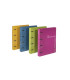 CARPETA CARCHIVO IMM. A4 4 AN.35 MOSTAZA