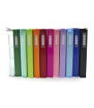 CARPETA COLORLINE PP A4 2 AN.25 SURT.