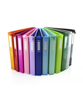 CARPETA COLORLINE PP A4 4 AN.25 SURT.