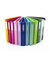 CARPETA COLORLINE PP A4 4 AN.25 SURT.