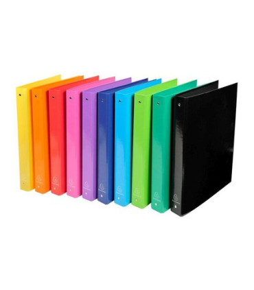 CARPETA EXACOMPTA CARTON A4 4 AN.30 SURT