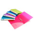 CARPETA RAPESCO PP A4 2 AN.35mm SURTIDO