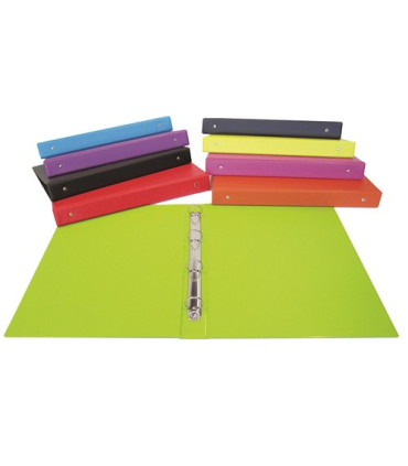 CARPETA SARO PVC ESC.4º 2 AN.25