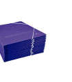 CARPETA GOMAS Y BOLSA CART. Fº AZUL