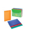 CARPETA SOLAP.CARCHIVO PP Fº TRASL.ROJO