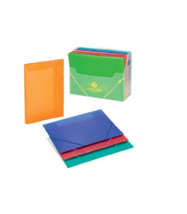 CARPETA SOLAP.CARCHIVO PP Fº TRASL.VIOLE