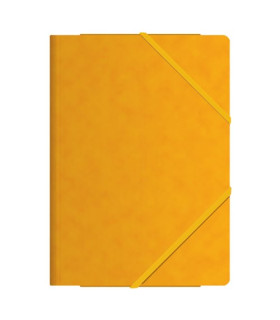 CARP. SOLAP. DOHE Fº CARTON AMARILLO