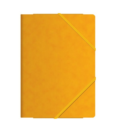 CARP. SOLAP. DOHE Fº CARTON AMARILLO