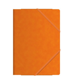 CARP. SOLAP. DOHE Fº CARTON NARANJA