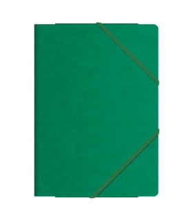 CARP. SOLAP. DOHE Fº CARTON VERDE