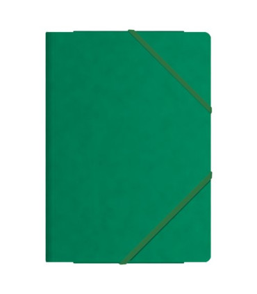 CARP. SOLAP. DOHE Fº CARTON VERDE