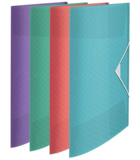 CARPETA SOLAP.ESSEL.PP A4 COLORES SURTID