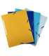 CARP.SOLAP.EXACOMPTA BEE BLUE PP A4 SURT