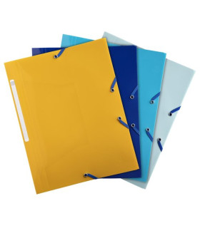 CARP.SOLAP.EXACOMPTA BEE BLUE PP A4 SURT