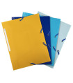 CARP.SOLAP.EXACOMPTA BEE BLUE PP A4 SURT