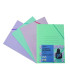 CARPETA SOLAPAS CARTON Fº SURTIDO PASTEL