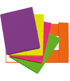 CARP.GOMAS y 3 SOLAPAS FLUORGRAF FOR.Fº