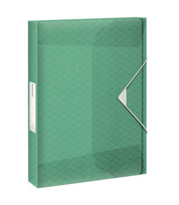 CARP.PROY.ESSELTE PP A4 4 cm VERDE