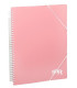 TARIF.CARCH.PP ARCHIVEX A4 40F. ROSA