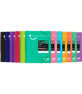 TARIF.GRAF.PP MAXIPLAS LIKE 2 A4 50F.SRT