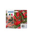 CART.IJ.EPSON T09R640 Nº503XL MULTIPACK