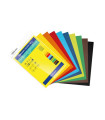 CARTULINA A4 FABR. 185g P/10 COL.INTEN.