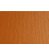 CARTULINA A4 SIRIO 220g LR AVANA P/50