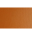 CARTULINA A4 SIRIO 220g LR AVANA P/50
