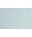 CARTULINA A4 SIRIO 220g LR BIANCO P/50