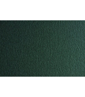 CARTULINA A4 SIRIO 220g LR FERRO P/50