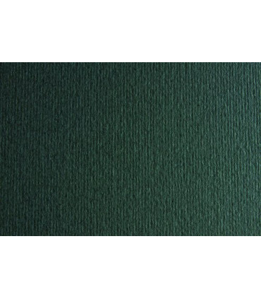CARTULINA A4 SIRIO 220g LR FERRO P/50