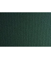 CARTULINA A4 SIRIO 220g LR FERRO P/50