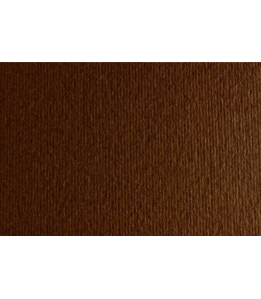 CARTULINA A4 SIRIO 220g LR MARRONE P/50