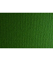 CARTULINA A4 SIRIO 220g LR VERDONE P/50