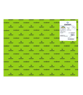 CARTULINA FLUOR 50x65 IRIS VERDE P/25