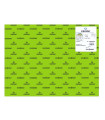 CARTULINA FLUOR 50x65 IRIS VERDE P/25