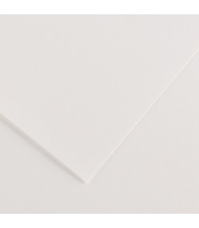 CARTULINA 70x100 CANSON 220g LF BLANCO P