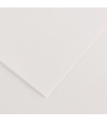 CARTULINA 70x100 CANSON 220g LF BLANCO P
