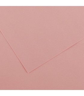 CARTULINA 70x100 CANSON 220g LF ROSA P/2