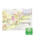 CUADERNO LAMELA MINIFICHAS CAMINANDO 16