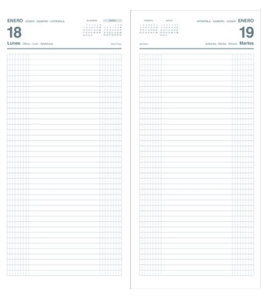 DIETARIO DOHE ANUAL 145x310 - 2/3