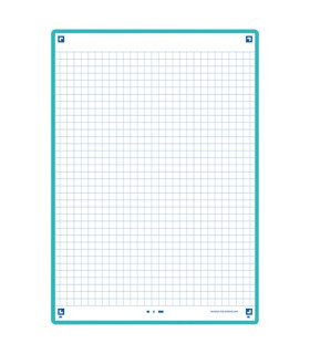 FICHAS OXFORD REVISION A5 HZ. ICE (30)