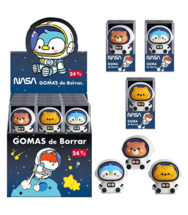 GOMA BORRAR DOHE NASA EXP.24