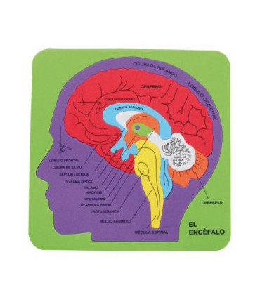 GOMA EVA FIXO PUZZLE 21x21 SISTEMA CEREB
