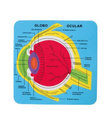 GOMA EVA FIXO PUZZLE 21x21 SISTEMA OCULA
