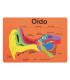 GOMA EVA FIXO PUZZLE 26x36 SISTEMA AUDIT