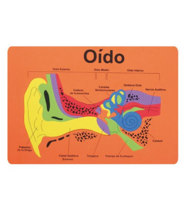 GOMA EVA FIXO PUZZLE 26x36 SISTEMA AUDIT