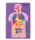 GOMA EVA FIXO PUZZLE 26x36 SISTEMA DIGES