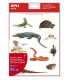 GOMETS APLI (17633) REPTILES.Bl.12h