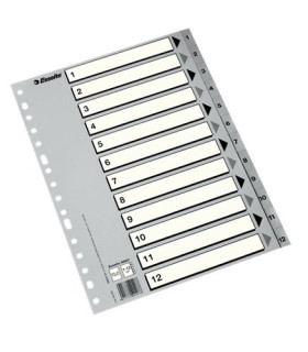 INDICE ESSELTE PP NUM.Fº ps.1-12 IND.B/N